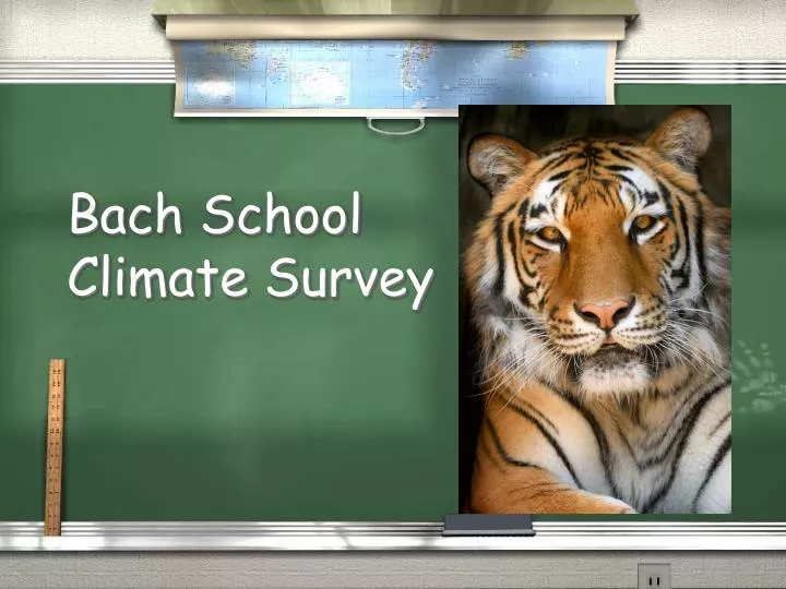 bach school climate survey