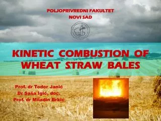 KINETIC COMBUSTION OF WHEAT STRAW BALES