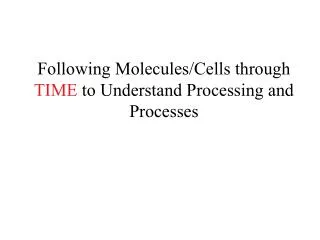 Following Molecules/Cells through TIME to Understand Processing and Processes