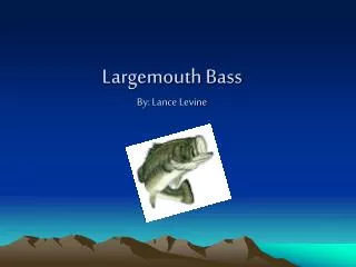 Largemouth Bass By: Lance Levine
