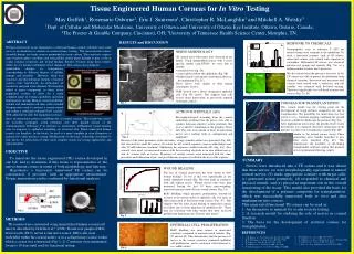 Tissue Engineered Human Corneas for In Vitro Testing