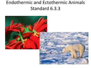 Endothermic and Ectothermic Animals Standard 6.3.3
