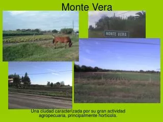 monte vera