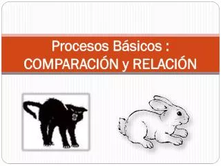 procesos b sicos comparaci n y relaci n