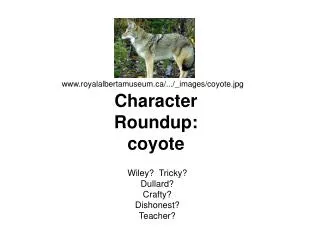 Character Roundup: coyote