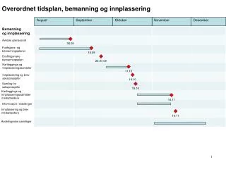 overordnet tidsplan bemanning og innplassering