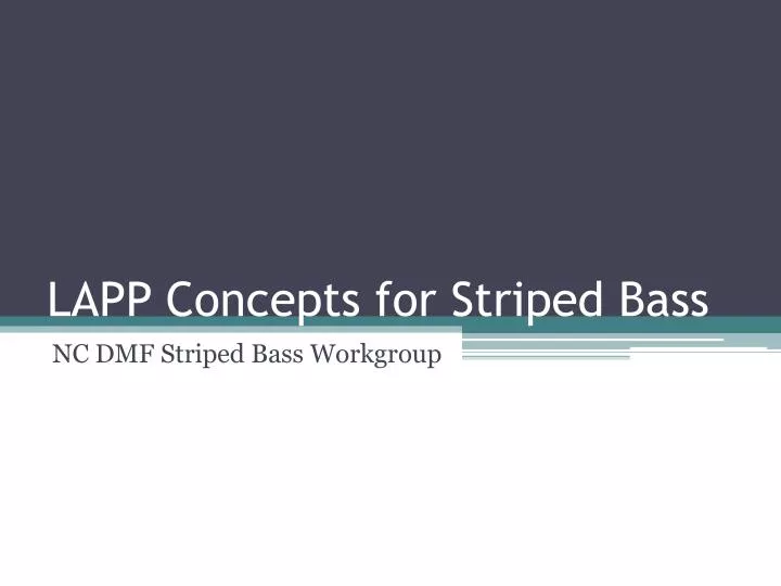 lapp concepts for striped bass
