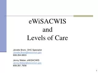 eWiSACWIS and Levels of Care