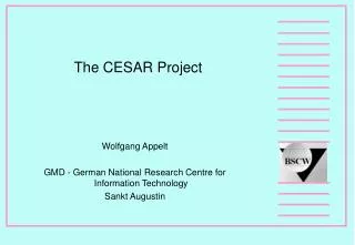 The CESAR Project