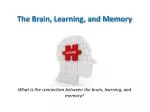 The Brain, Learning, and Memory - slide 1