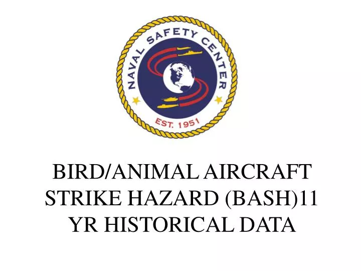 bird animal aircraft strike hazard bash 11 yr historical data