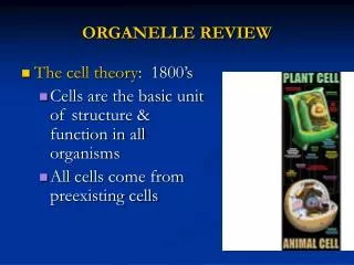 ORGANELLE REVIEW
