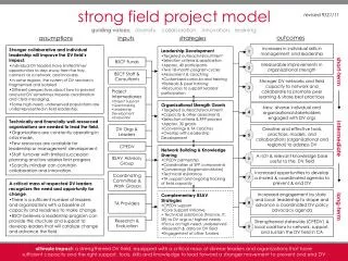 strong field project model