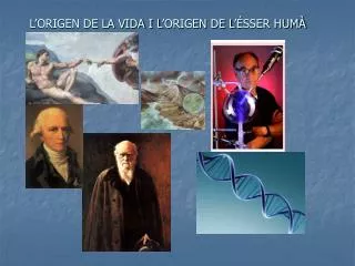 l origen de la vida i l origen de l sser hum