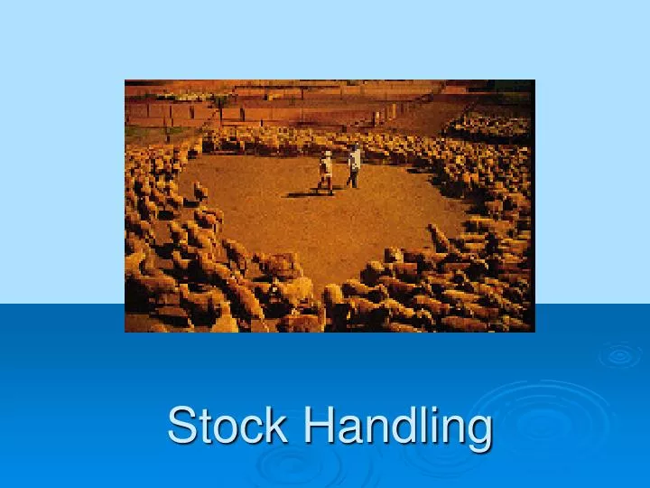 stock handling