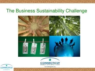 The Business Sustainability Challenge