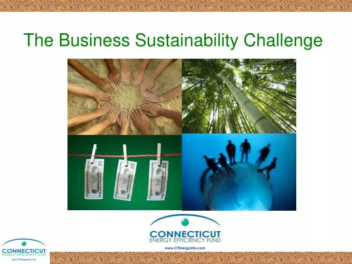 the business sustainability challenge