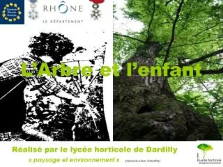 l arbre et l enfant