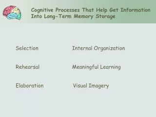 Selection Internal Organization Rehearsal Meaningful Learning