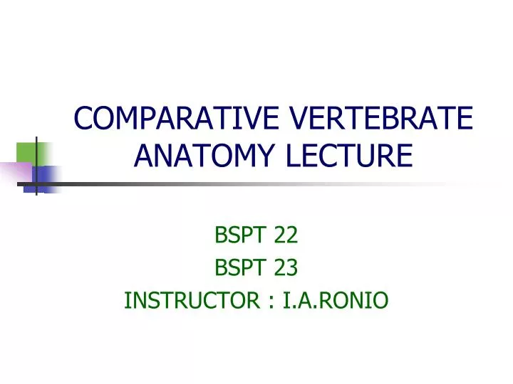 comparative vertebrate anatomy lecture