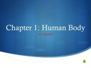 Chapter 1: Human Body