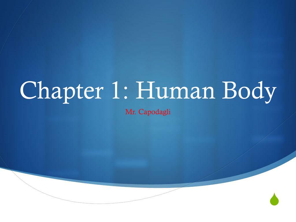 PPT - Chapter 1: Human Body PowerPoint Presentation, free download - ID ...