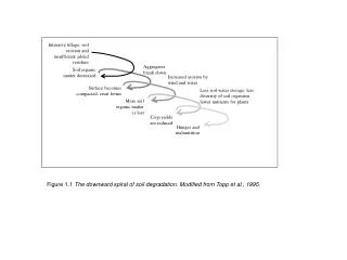 Intensive tillage, soil erosion and insufficient added residues