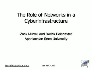 The Role of Networks in a Cyberinfrastructure