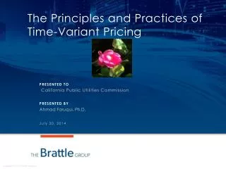 The Principles and Practices of Time-Variant Pricing