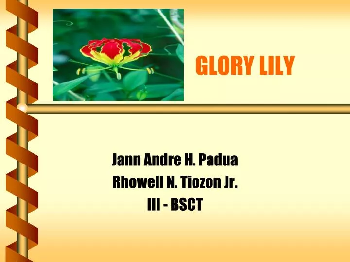 glory lily