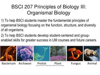 BSCI 207 Principles of Biology III: Organismal Biology