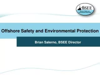 About BSEE