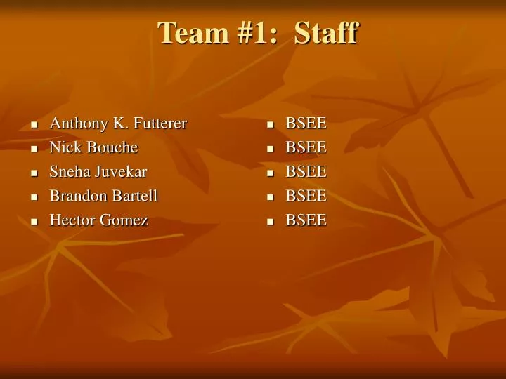 team 1 staff