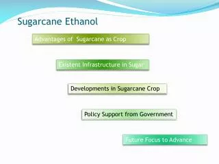 Sugarcane Ethanol