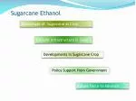 Sugarcane Ethanol - slide 1