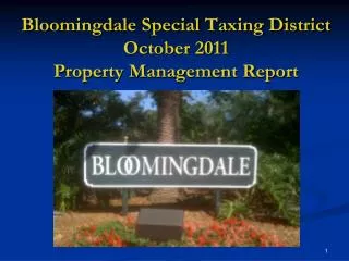 Bloomingdale Special Taxing District October 2011 Property Management Report