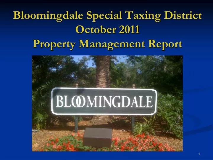 bloomingdale special taxing district october 2011 property management report
