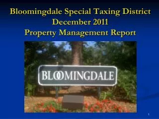 Bloomingdale Special Taxing District December 2011 Property Management Report