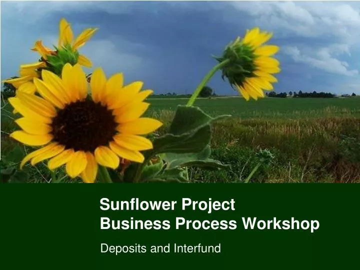 sunflower project business process workshop