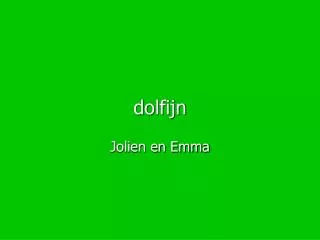dolfijn