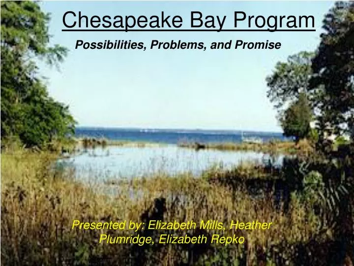 chesapeake bay program