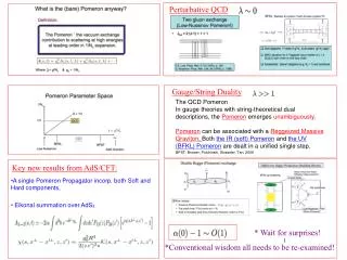 The QCD Pomeron