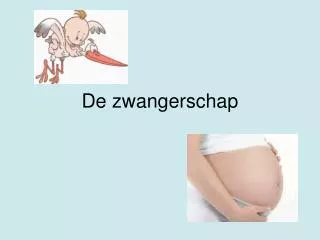 de zwangerschap