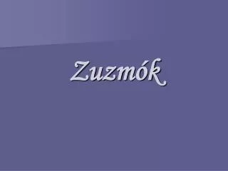 zuzm k