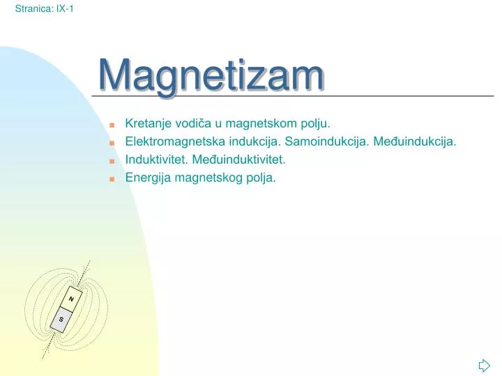 magnetizam