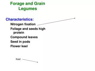 Forage and Grain Legumes