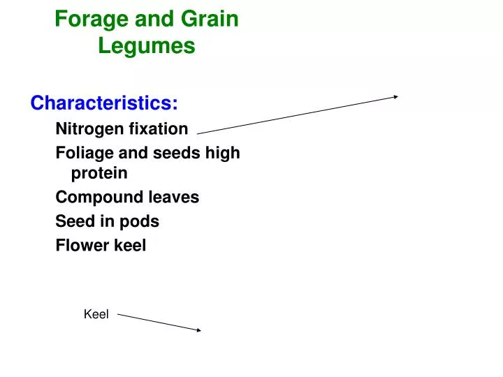 forage and grain legumes