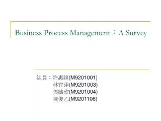 business process management a survey