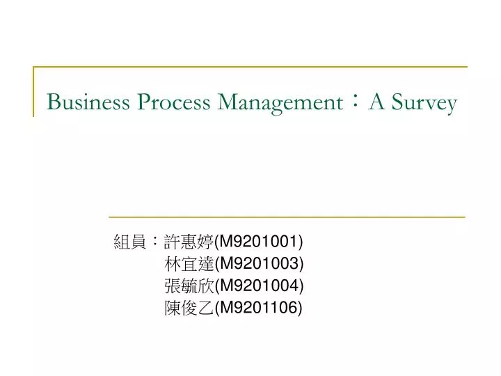 business process management a survey