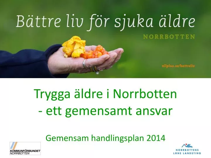 trygga ldre i norrbotten ett gemensamt ansvar gemensam handlingsplan 2014